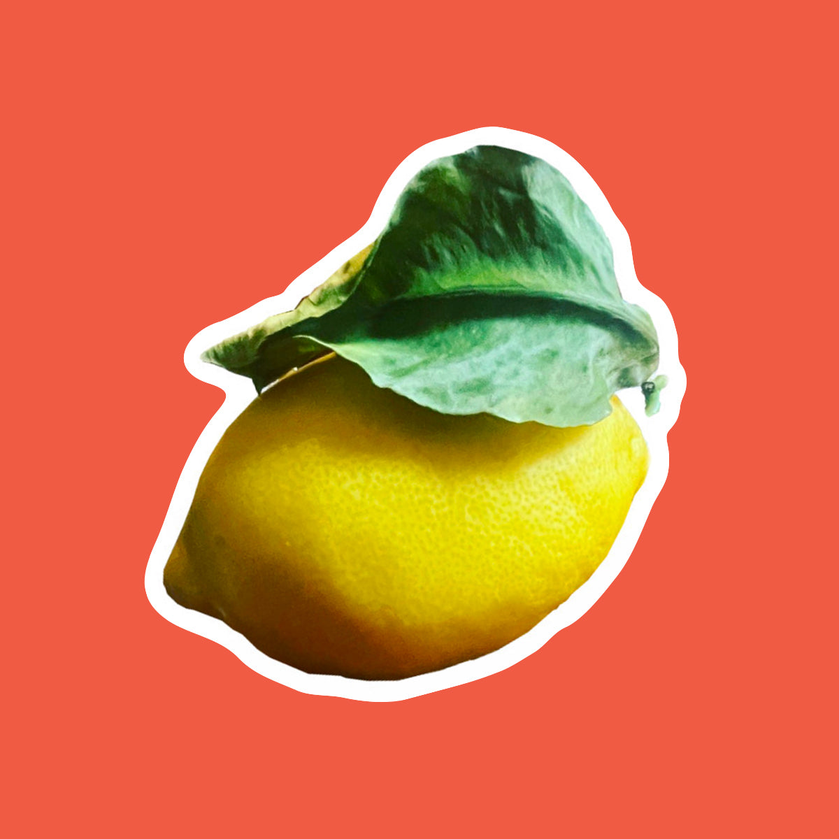 Gift-A-Lemon - @gaux42