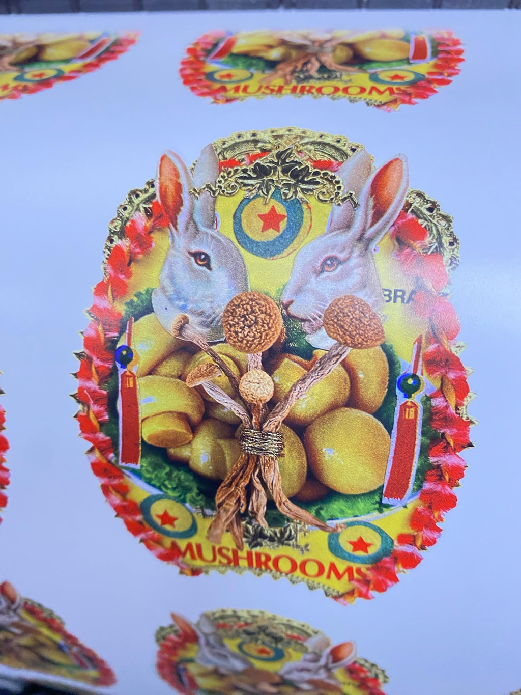 Smell the Shrooms - @aimeemillerart